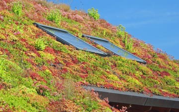 Sutton Valence living roof systems